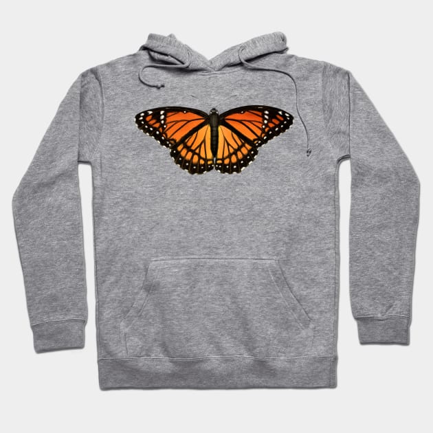 Viceroy Hoodie by JadaFitch